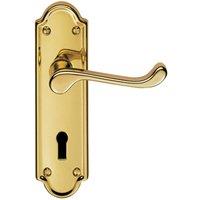 Loops PAIR Victorian Upturned Handle on Lock Backplate 168 x 47mm Polished Brass in Metallics