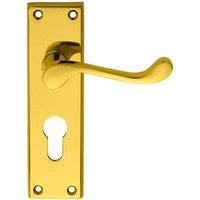 Loops PAIR Victorian Scroll Lever on Euro Lock Backplate 150 x 43mm Polished Brass in Metallics