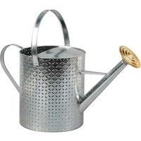 simpa 9 Litre Embossed Galvanised Steel Watering Can in Metallic Silver