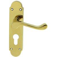 Loops PAIR Victorian Upturned Lever on Euro Lock Backplate 170 x 42 Polished Brass in Metallics