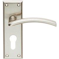 Loops PAIR Arched Lever on Euro Lock Backplate Door Handle 150 x 50mm Satin Nickel in Metallics