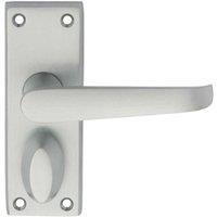 Loops PAIR Straight Handle on Short Privacy Backplate 118 x 42mm Satin Chrome