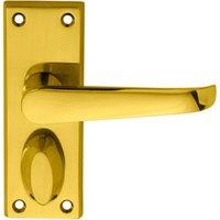 Loops PAIR Straight Handle on Short Privacy Backplate 118 x 42mm Polished Brass in Metallics