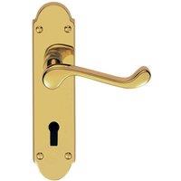 Loops PAIR Victorian Upturned Handle on Lock Backplate 170 x 42mm Polished Brass in Metallics