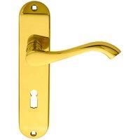 Loops PAIR Curved Handle on Chamfered Lock Backplate 180 x 40mm Polished Brass in Metallics