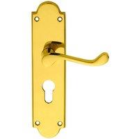 Loops PAIR Victorian Scroll Lever on Euro Lock Backplate 205 x 49mm Polished Brass in Metallics