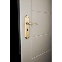 Loops PAIR Curved Handle on Long Lock Backplate 245 x 45mm Polished Chrome