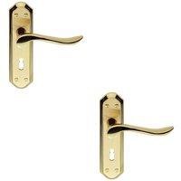 Loops 2x PAIR Curved Lever on Sculpted Edge Backplate 180 x 48mm Satin/Polished Brass in Metallics