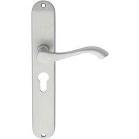 Loops PAIR Curved Handle on Long Slim Euro Lock Backplate 241 x 40mm Satin Chrome