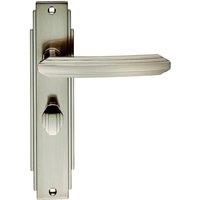 Loops PAIR Line Detailed Handle on Bathroom Backplate 205 x 45mm Satin Nickel in Metallics