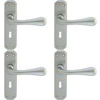 Loops 4x PAIR Heavy Duty Handle on Angular Lock Backplate 180 x 40mm Satin Chrome