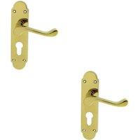 Loops 2x PAIR Victorian Upturned Lever on Euro Lock Backplate 170 x 42 Polished Brass in Metallics