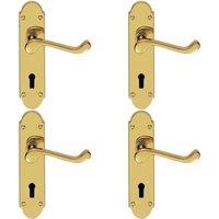 Loops 4x PAIR Victorian Upturned Handle on Lock Backplate 170 x 42mm Polished Brass in Metallics