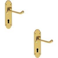 Loops 2x PAIR Victorian Upturned Handle on Lock Backplate 170 x 42mm Polished Brass in Metallics