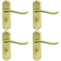 Loops 4x PAIR Curved Lever on Sculpted Bathroom Backplate 180 x 48mm Dual Brass in Metallics