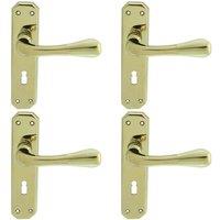 Loops 4x PAIR Heavy Duty Handle on Angular Lock Backplate 180 x 40mm Stainless Brass in Metallics