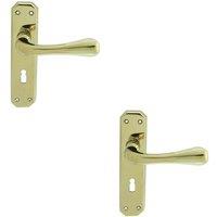 Loops 2x PAIR Heavy Duty Handle on Angular Lock Backplate 180 x 40mm Stainless Brass in Metallics