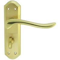 Loops PAIR Curved Lever on Sculpted Bathroom Backplate 180 x 48mm Satin/Polished Brass in Metallics