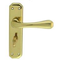 Loops PAIR Heavy Duty Lever on Angular Bathroom Backplate 180 x 40mm Polished Brass in Metallics