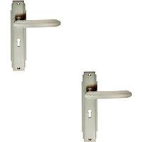 Loops 2x PAIR Line Detailed Handle on Lock Backplate 205 x 45mm Satin Nickel in Metallics