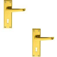 Loops 2x PAIR Straight Victorian Handle on Lock Backplate 150 x 43mm Polished Brass in Metallics