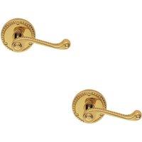 Loops 2x PAIR Georgian Scroll Handle on Round Rose Rope Design Pattern Polished Brass in Metallics