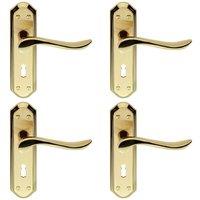 Loops 4x PAIR Curved Lever on Sculpted Edge Backplate 180 x 48mm Satin/Polished Brass in Metallics