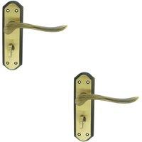 Loops 2x PAIR Curved Lever on Sculpted Bathroom Backplate 180 x 48mm Florentine Bronze