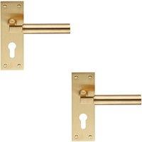 Loops 2x PAIR Round Bar Handle on Slim Euro Lock Backplate 150 x 50mm Satin Brass in Metallics