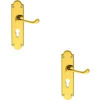 Loops 2x PAIR Victorian Scroll Lever on Euro Lock Backplate 205 x 49mm Polished Brass in Metallics