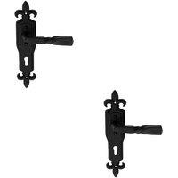 Loops 2x PAIR Forged Twisted Ornate Lever on Lock Backplate 226 x 50mm Black Antique