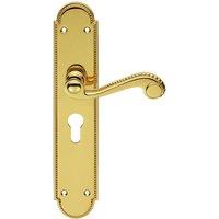 Loops PAIR Beaded Pattern Handle on Euro Lock Backplate 249 x 50mm Polished Brass in Metallics