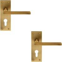 Loops 2x PAIR Straight Bar Lever on Slim Euro Lock Backplate 150 x 50mm Antique Brass in Metallics