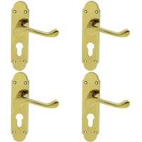 Loops 4x PAIR Victorian Upturned Lever on Euro Lock Backplate 170 x 42 Polished Brass in Metallics