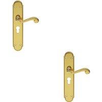 Loops 2x PAIR Beaded Pattern Handle on Euro Lock Backplate 249 x 50mm Polished Brass in Metallics