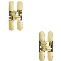 Loops 2x 160 x 32mm Concealed Heavy Duty Hinge Fits Unrebated Doors Brass Plated in Metallics