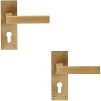 Loops 2x PAIR Straight Square Handle on Euro Lock Backplate 150 x 50mm Antique Brass in Metallics