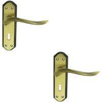 Loops 2x PAIR Curved Handle on Sculpted Lock Backplate 180 x 48mm Florentine Bronze