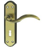 Loops PAIR Spiral Sculpted Handle on Lock Backplate 180 x 48mm Florentine Bronze
