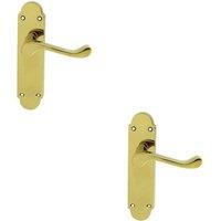 Loops 2x PAIR Victorian Upturned Handle on Latch Backplate 170 x 42mm Polished Brass in Metallics