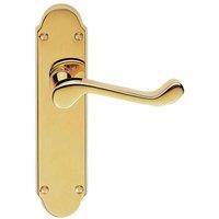 Loops PAIR Victorian Upturned Handle on Latch Backplate 170 x 42mm Stainless Brass in Metallics