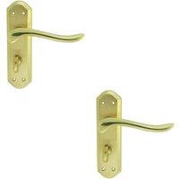 Loops 2x PAIR Curved Lever on Sculpted Bathroom Backplate 180 x 48mm Dual Brass in Metallics