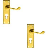 Loops 2x PAIR Victorian Scroll Lever on Euro Lock Backplate 150 x 43mm Polished Brass in Metallics