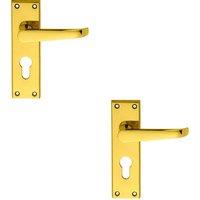 Loops 2x PAIR Straight Victorian Lever on Euro Lock Backplate 150 x 43mm Brass in Metallics