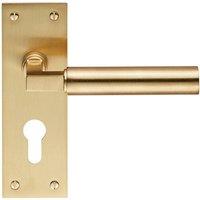 Loops PAIR Round Bar Handle on Slim Euro Lock Backplate 150 x 50mm Satin Brass in Metallics