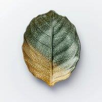 Sienna Glass Glass Plate Leaf Design Green & Gold