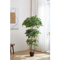 H&O Direct 185cm Artificial Zamioculcas Decorative Plant in Green