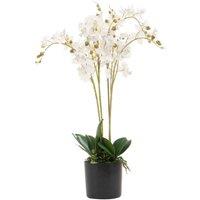 Leaf 60cm Design UK Realistic Artificial Orchid Flower Display in Pot in White