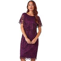 Petite Lace Overlay Stretch Bodycon Dress