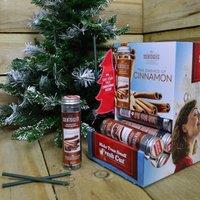 Samuel Alexander 3 Packs of 25g Two Dashes of Cinnamon Scented Christmas Scentsicles with 6 Hanging Hooks in Green